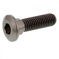 Schraube Bremsscheibe Hinten M8X1.25 30Mm Titan FüR Kawasaki Z 750 GP Bj. 1982
