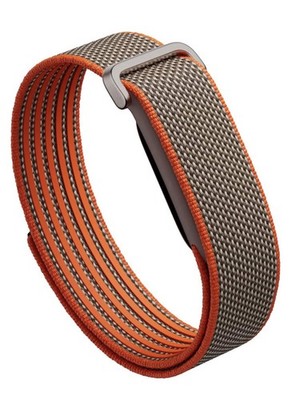 Google Fitbit Air Health Tracking Band - Special Edition Stephen Curry - In Hand