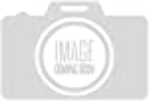 Westin 57 81005B Hlr 零件套件和配件套件 — 第 2/4 张图片