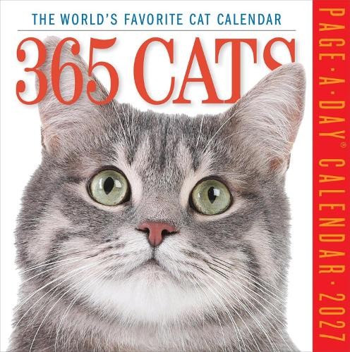 Rackhams 365 Days Of Cats Desk Calendar 2027, Desk Calendars, Day To View, Cats, Gift - Image 3