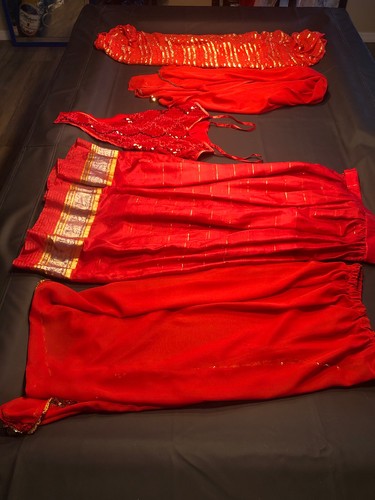 Red Belly Dancer Costume 