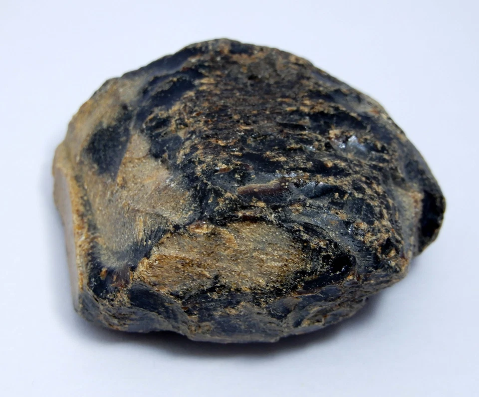 148.90 CT Naturale EGL Certificato Ambra Baltica Traslucido Rough Sfuso Gemma W7 - Immagine 2 di 4