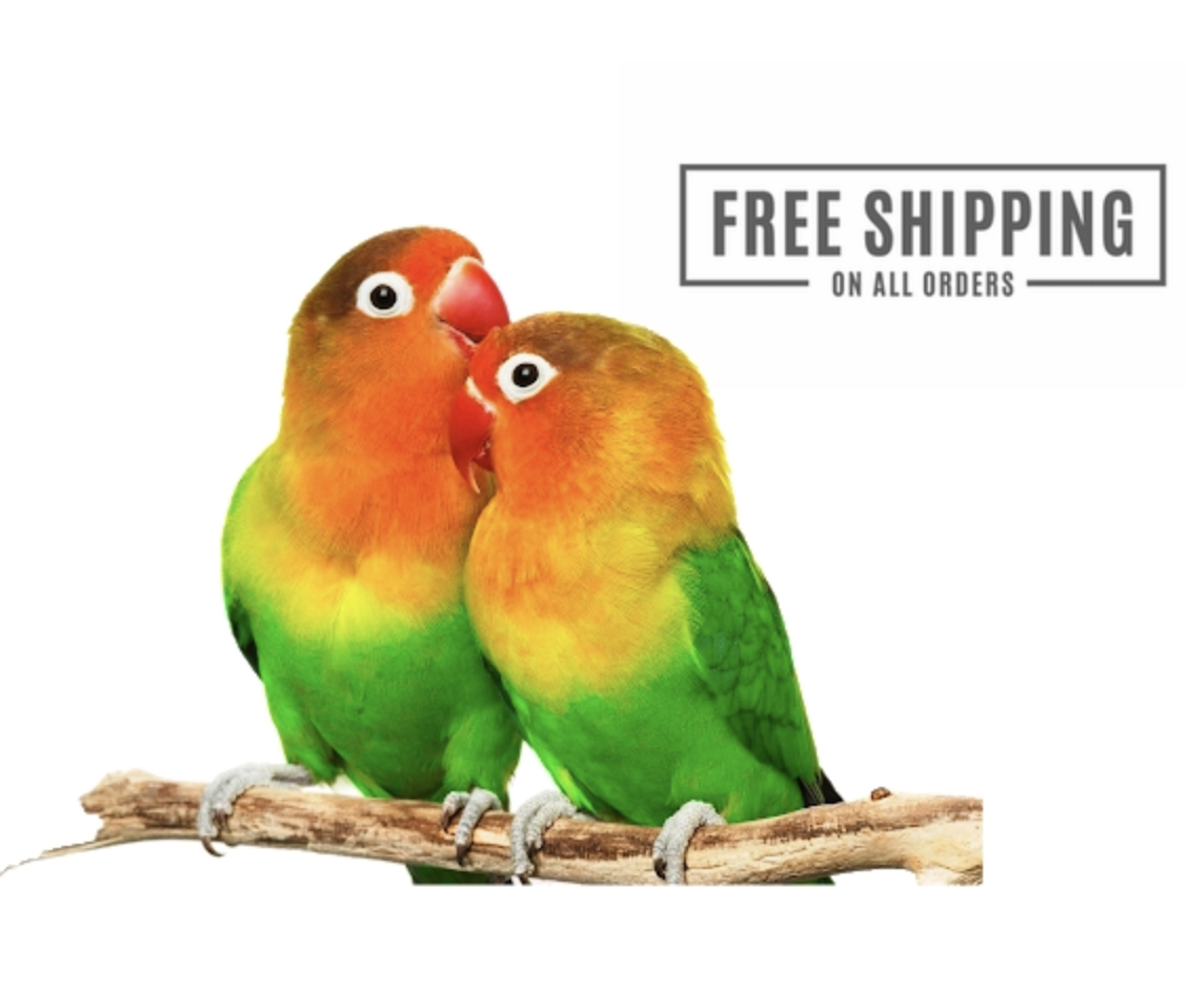 DRIED CALCIWORMS 1kg WILD BIRD FOOD (HIGHER CALCIUM THAN MEALWORM) FROM