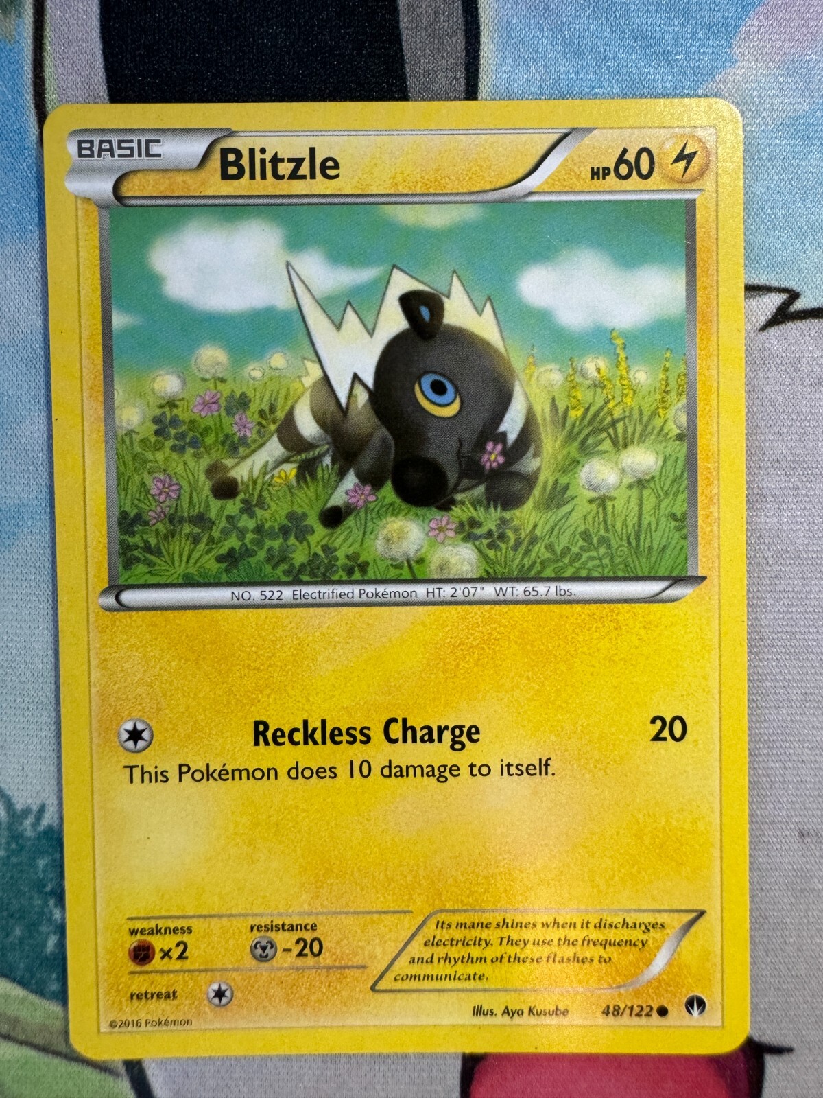 Blitzle Non Holo English Pokemon TCG BKA309