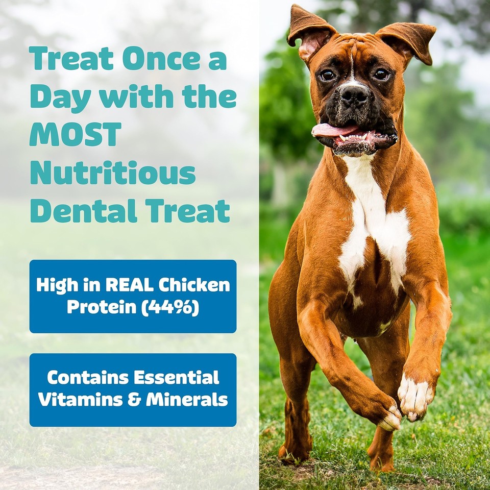 Dog dental treats vet vohc approved delicious chicken protein