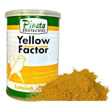 Yellow Factor-Pineta Zootecnici, yellow factor bird dye in its feather 250g