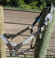 Silver Show Halter - Iridescent Stones - Dark Oil - Horse Size - Matching Lead