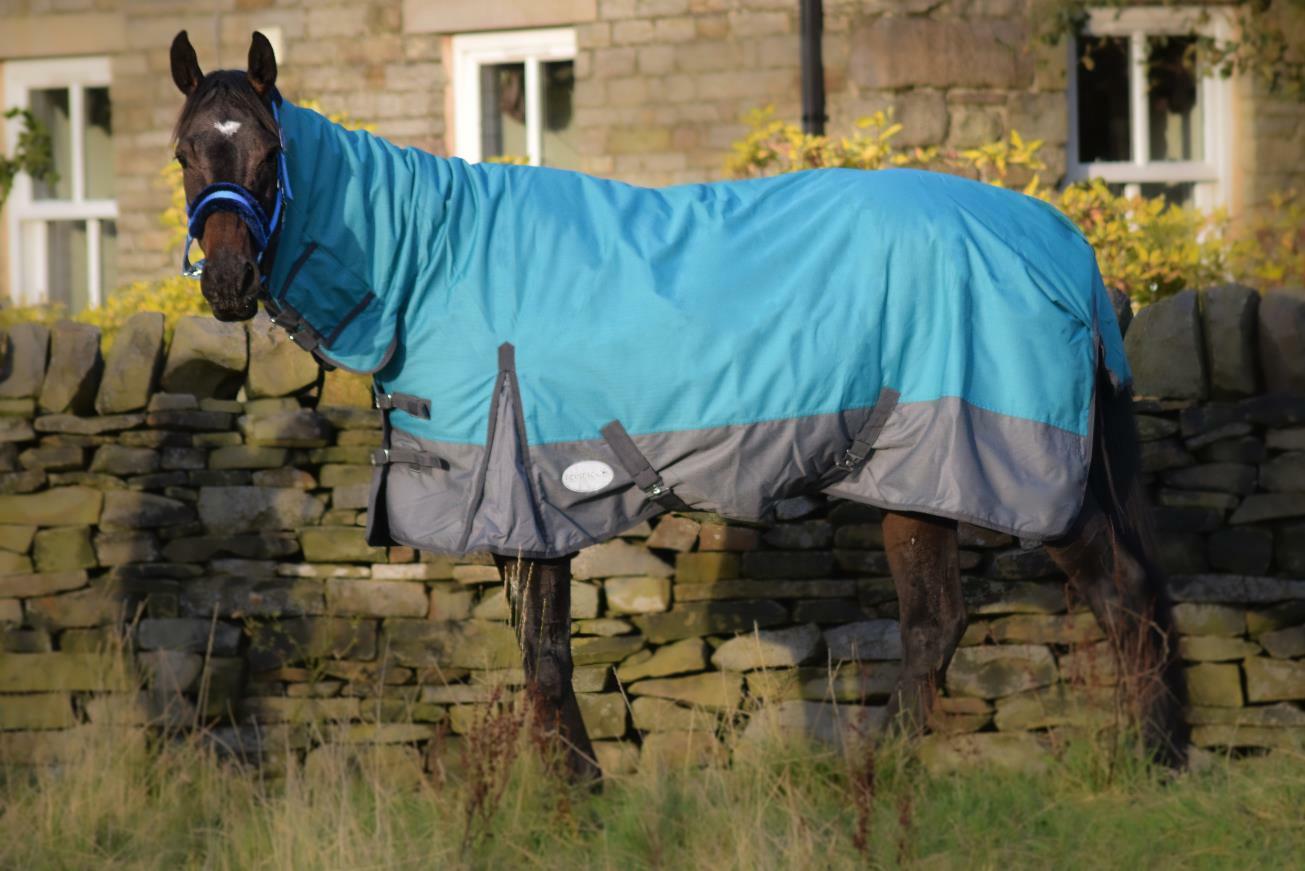 1200D Lightweight Turnout Horse Rug Waterproof Combo Full Neck Aqua