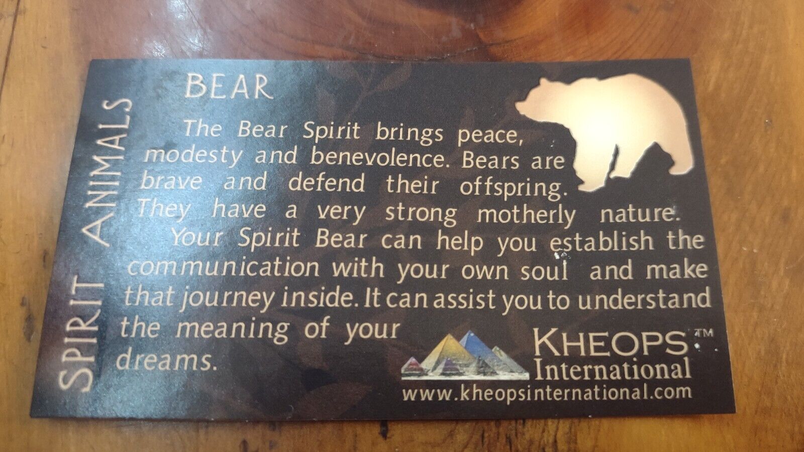 Bear Spirit Animal, Meaning