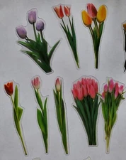 Tulip Stickers on clear background- 2 ea of 20 images - 40 total