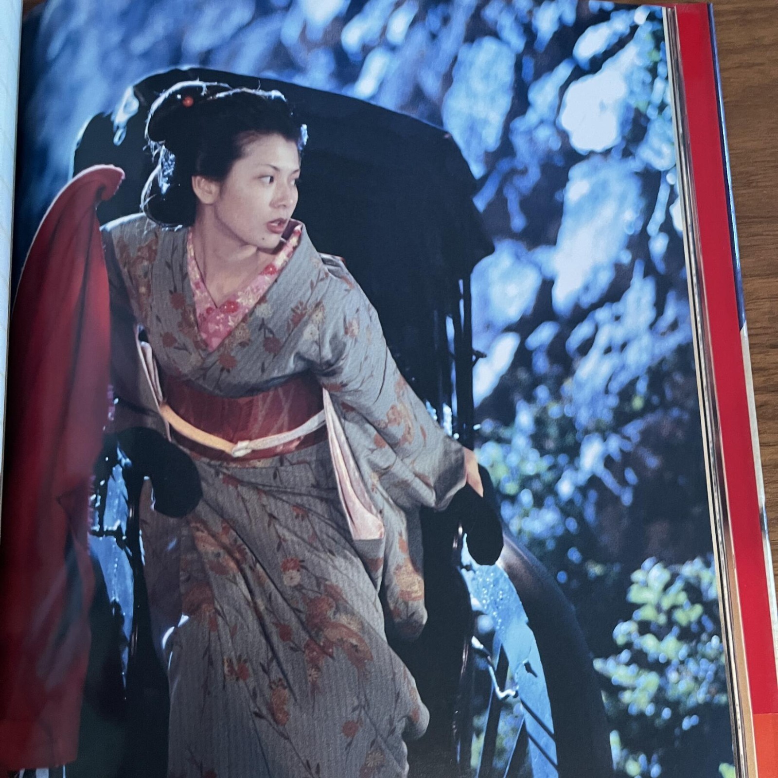 Japanese Photobook The Rebellion of the Women of Shinonome-ro | 1994