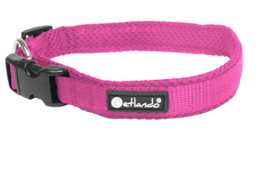 CYPBRANDS Hundehalsband Chic & Love Zebra - Größe S, Weich, Mit Clipverschluss