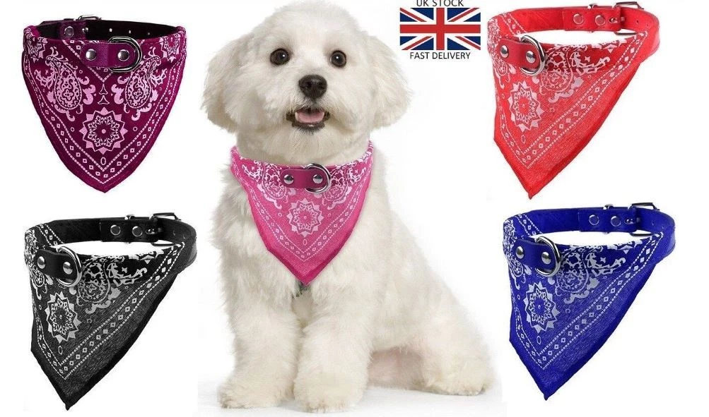Handkerchief collar for dogs outlet