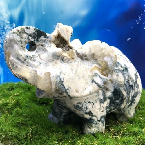 690G Natural Aquatic agate Quartz Crystal Hand Carved elephant Healing - Picture 2 of 12