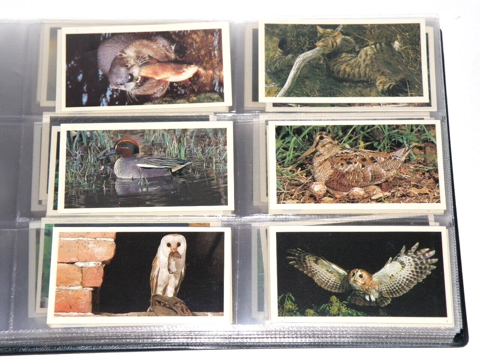 10x EXCELLENT CIGARETTE TOBACCO CARD SETS in NOSTALGIA COLLECTORS BINDER (UN09) - Image 4 of 4