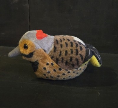 Northern Flicker Woodpecker Wild Republic Audubon Bird with sound NEW