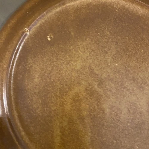 6 McCoy Canyon Mesa Rustic Cabin Coupe Dinner Plates 10 1/4"