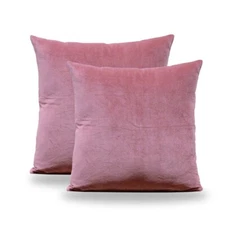 2 pack 22x22 Inch Velvet Pillow Coves Decorative Cushion Cases for Couch Sofa