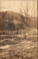 Real Photo Postcard Arcadia Heights, Ironton, Missouri - used in 1911