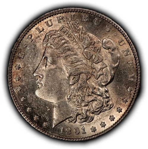 1891-S $1 Morgan Silver Dollar - Original Toning - UNC - SKU-D7510