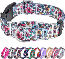 Martingale Collar for Dogs, Adjustable Soft Nylon Dog Collars with Special Desig