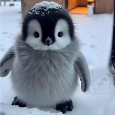 23 CM, Niedliches Plüschtier, Baby Pinguin Plüsch Puppe, Kinder Geschenk