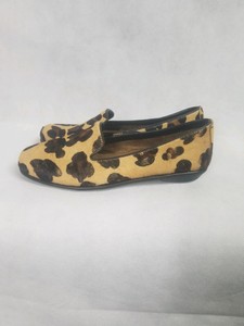 aerosoles betunia