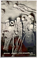 DICKSON MOUNDS STATE MEMORIAL Lewiston Illinois PRRC Postcard Skeletons D7