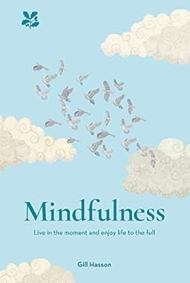 Mindfulness: Live in the Moment and Enjoy Life to the Full, Gill Hasson, Used; G