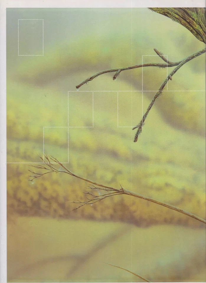 Australia 2010 Como Nuevo MNH Conjuntos MS Deluxe Coleccionistas Paquete Año Perros Peces Trenes Monja Foto 3 de 3