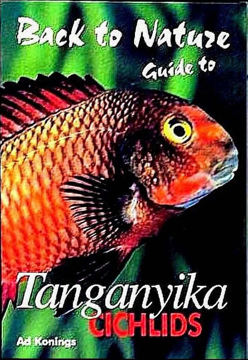 Y1220 Tanganyika Cichlids Nature Encyclopedia Tanganyika Cichlids African Tropic