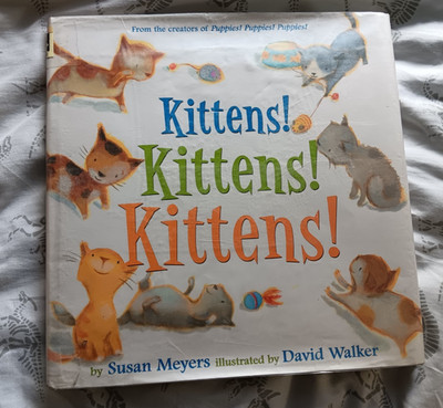 Kittens Kittens Kittens Susan Meyers Hardcover Children Picture Book
