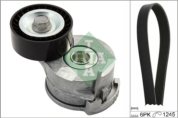 Ina 529 0291 10 V-Rippenriemen Satz FüR CitroËN, Ds, Peugeot-image