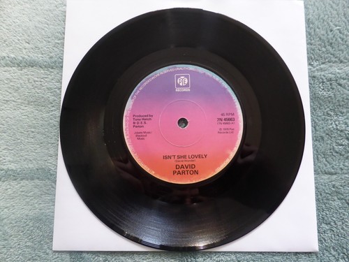 DAVID PARTON - ISN'T SHE LOVELY, 1976 EX