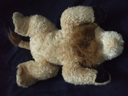 11" Kookeys plush lion unlock the fun - Picture 3 of 6