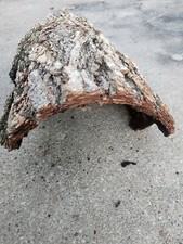 2x Reptile Tree Bark Terrarium Tree Bark Reptile Platform Reptile Bark Platform