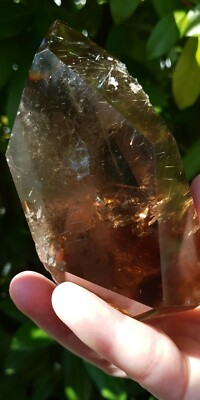 Rauchquarz,  Rauchquarz  INCLUSION m. Golden Rutil Freeform  AAA+ Qualität/ 620g
