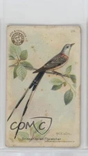 1922 Scissor-Tailed Flycatcher #29 0l4h