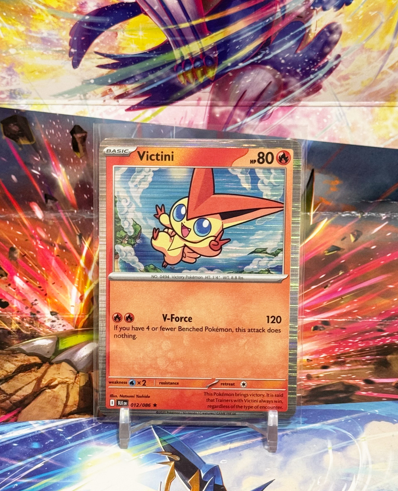 Victini - 012/086 - Black Bolt - Holo Rare - English | Pokemon TCG | NM