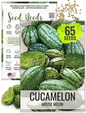 Seed Needs Cucamelon Seeds for Planting Mexican Sour Gherkin Miniature Mouse Mel
