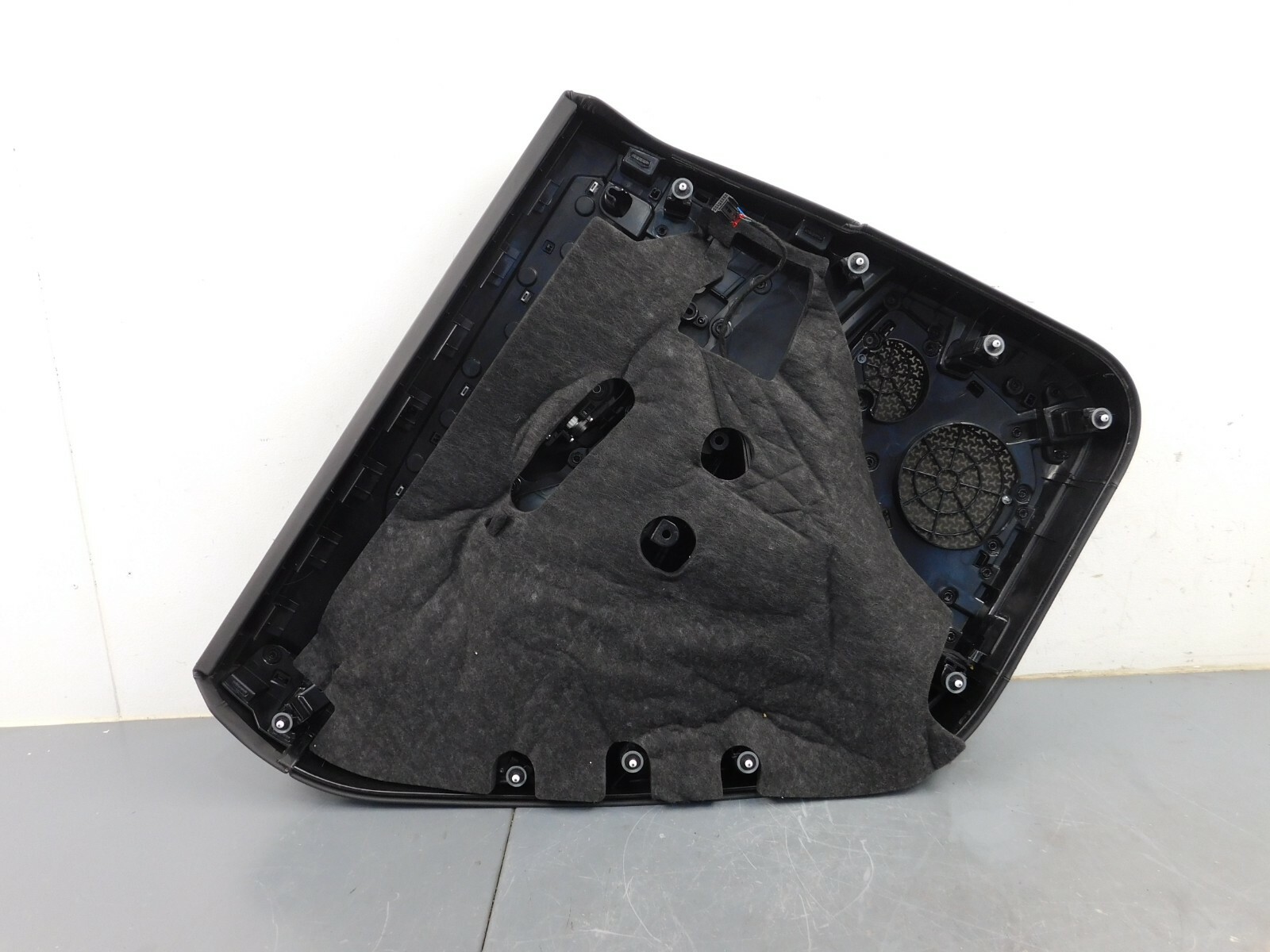 2019 20  Lamborghini Urus Right Passenger Rear Door Panel #1064 C2