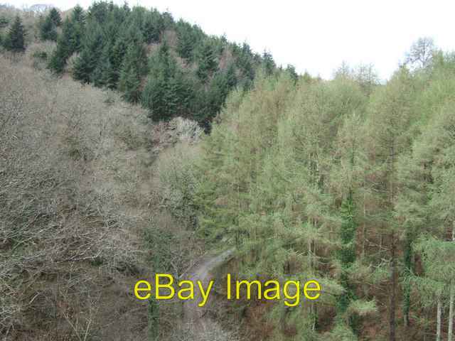 Photo 6x4 Woods seen from viaduct on Plym Valley cycle way