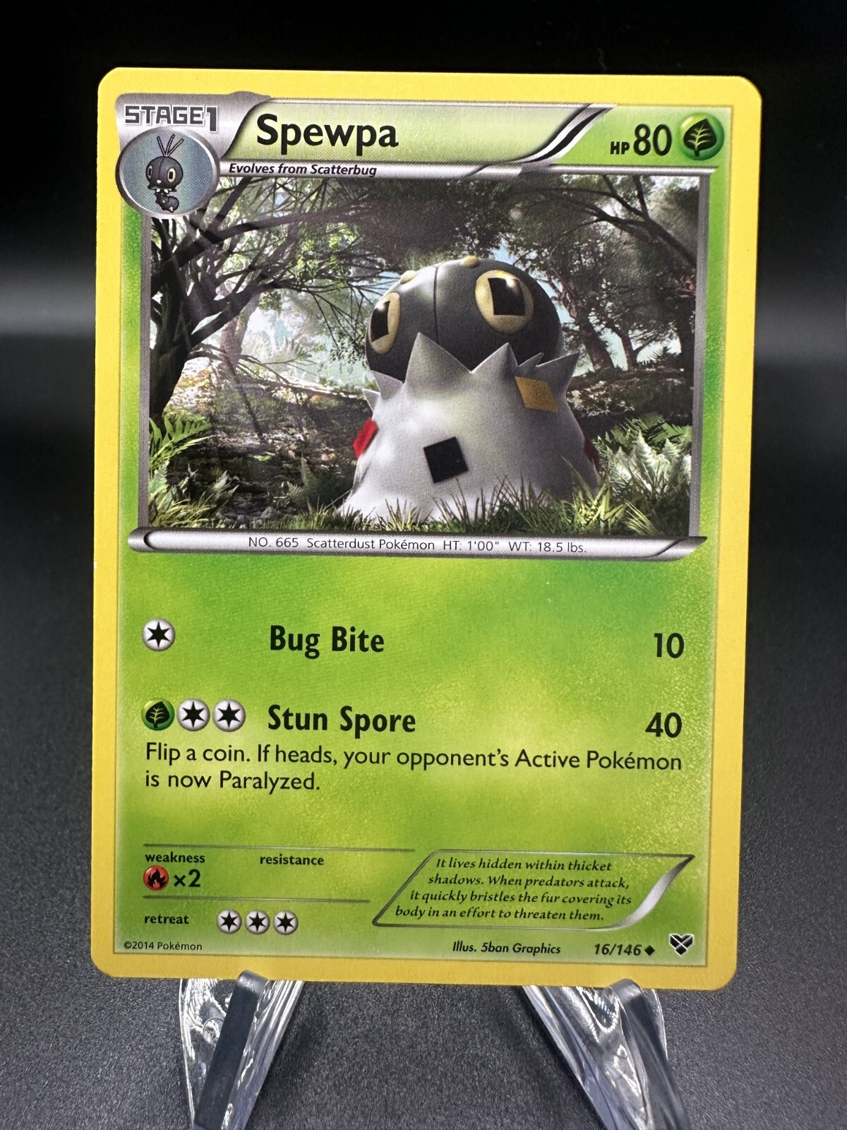 Spewpa - 16/146 XY - Pokémon TCG