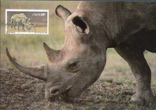 SWA - NAMIBIA - RHINO POSTCARD - WWF - FAUNA [1855]