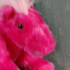 Bild 3 von 15