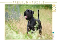Calvendo Puzzle Giant Schnauzer - Black | 1000 Pieces, Finished Size 25.2 × 18.9
