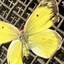 anatdemy_16