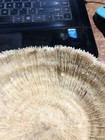 Foto 10 di 10