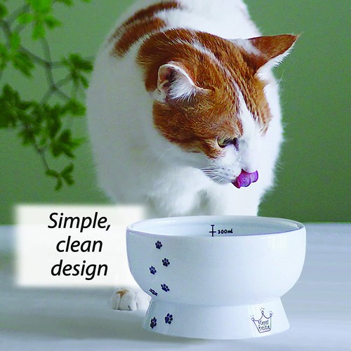 Necoichi - Raised Cat Water Bowl (Limited Edition Mount Fuji) - Picture 9 of 12
