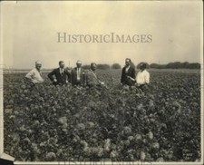 1934 Press Photo Bodger Brothers Zinnia Ranch in Los Angeles, California